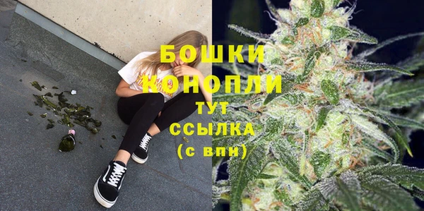 индика Бугульма